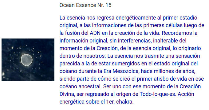 Las informaciones de las primeras células luego de la fusión del ADN en la creación de la vida.