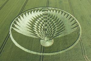 85.) Eagle, Uffington Castle Ashbury, UK (2006)