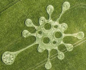 214.) Virus, Potterne Field, Nr Devizes, UK 2020