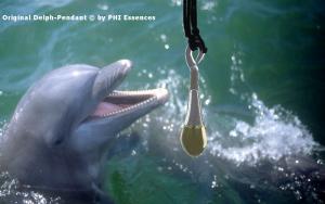 Dolphin Pendant Delph ©