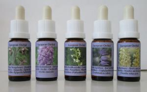 Set European Orchid Essences 5x15ml