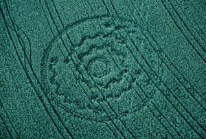 55.) Crop Circle, Igelsburg/Hohen Stein, Německo (2002)