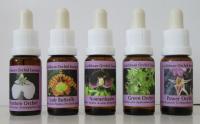 Set Caribische orchideeën Remedies 5x15ml